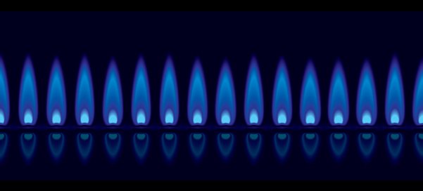 Welcome to Profit Partnership